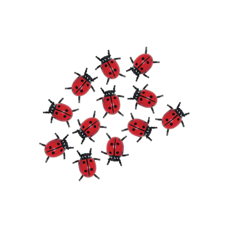 InsectLore | Mariehns, 12 stk