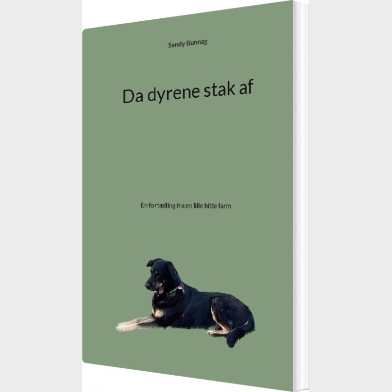 Da Dyrene Stak Af - Sandy Bunnag - Bog