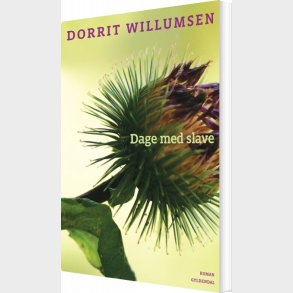 Dage Med Slave - Dorrit Willumsen - Bog