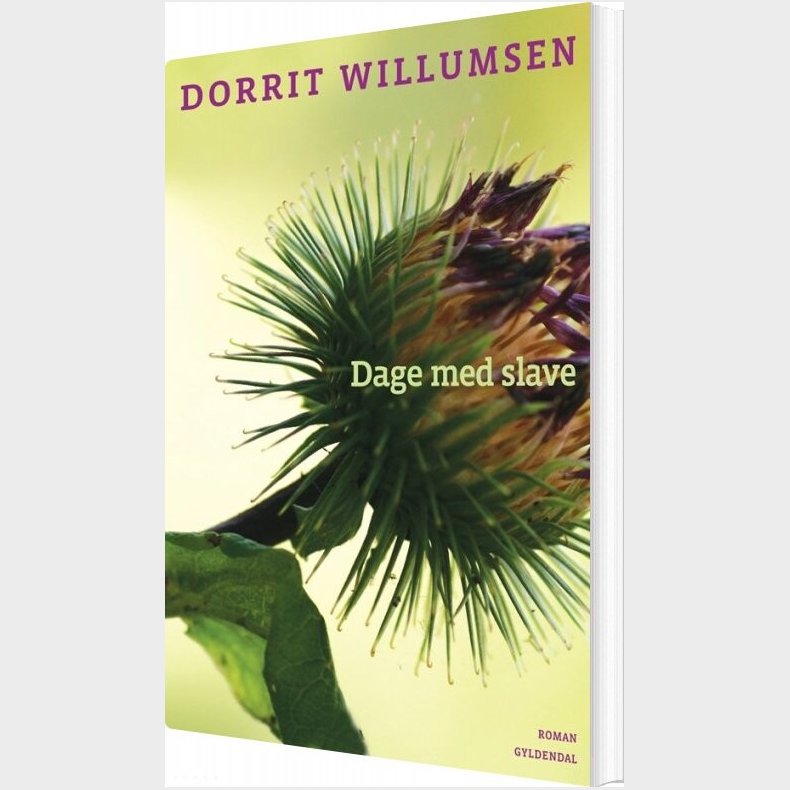 Dage Med Slave - Dorrit Willumsen - Bog