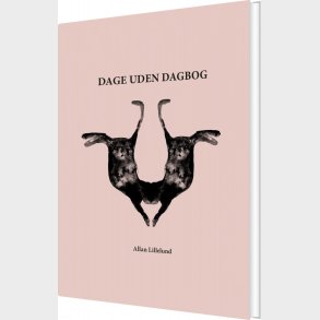 Dage Uden Dagbog - Allan Lillelund - Bog