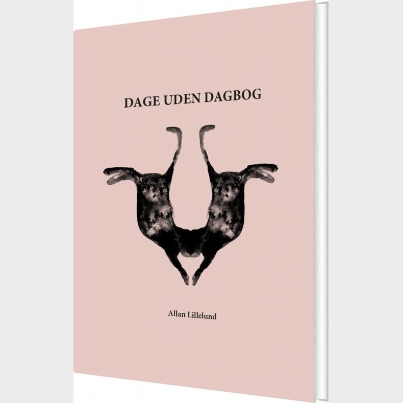 Dage Uden Dagbog - Allan Lillelund - Bog