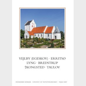 Danmarks Kirker: Vejle Amt, Hft. 30-31 - David Burmeister - Bog