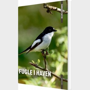 Danmarks Natur Fugle I Haven - Benny G�nsb�l - Bog