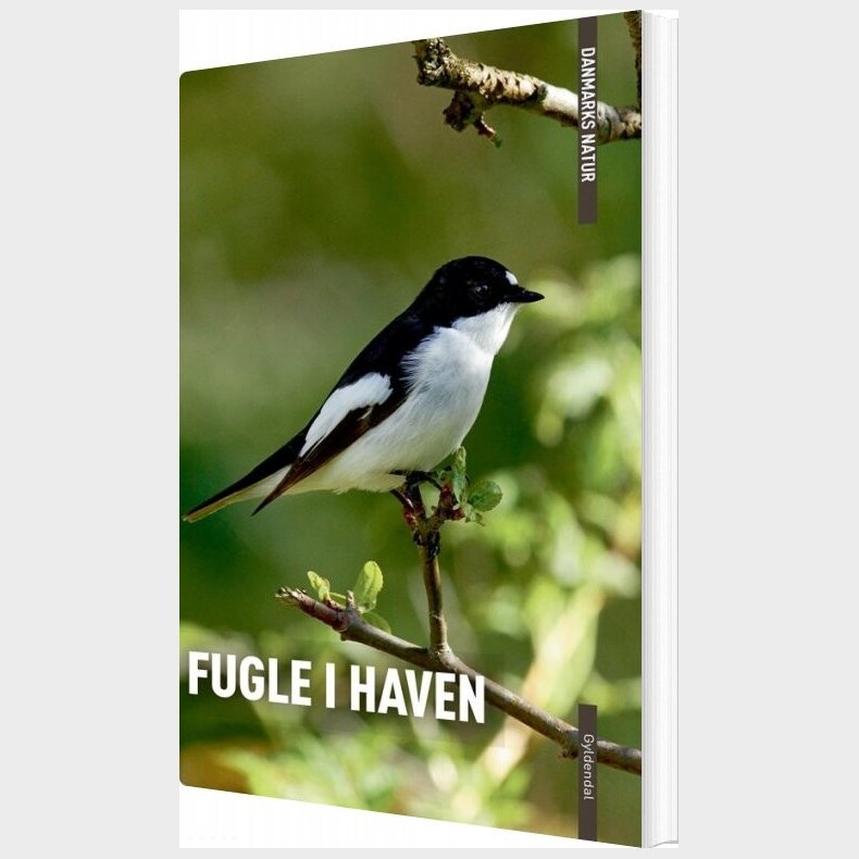 Danmarks Natur Fugle I Haven - Benny Gnsbl - Bog