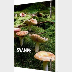 Danmarks Natur Svampe - Torben Gang Rasmussen - Bog