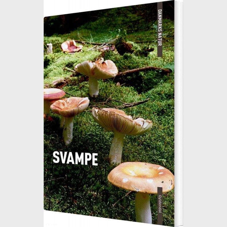 Danmarks Natur Svampe - Torben Gang Rasmussen - Bog