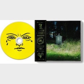 Frank Carter & The Rattlesnakes - Dark Rainbow - CD