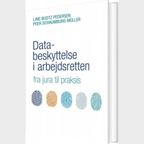 Databeskyttelse I Arbejdsretten - Peer Schaumburg-m�ller - Bog