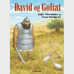 David Og Goliat - Sally Altschuler - Bog