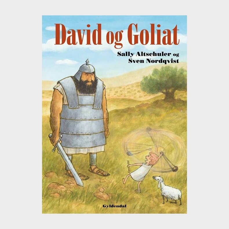 David Og Goliat - Sally Altschuler - Bog