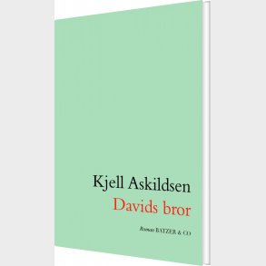Davids Bror - Kjell Askildsen - Bog