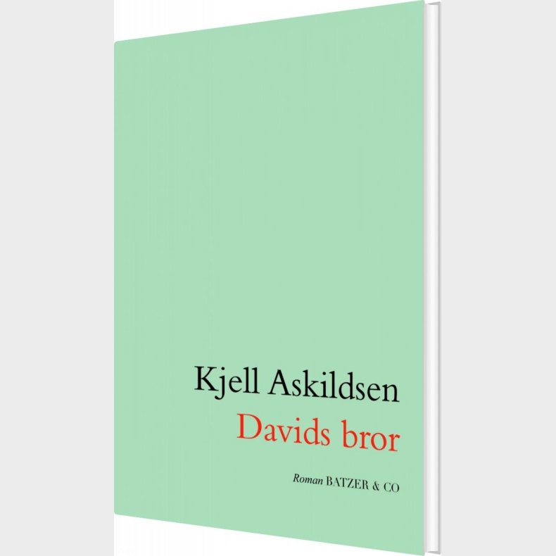 Davids Bror - Kjell Askildsen - Bog