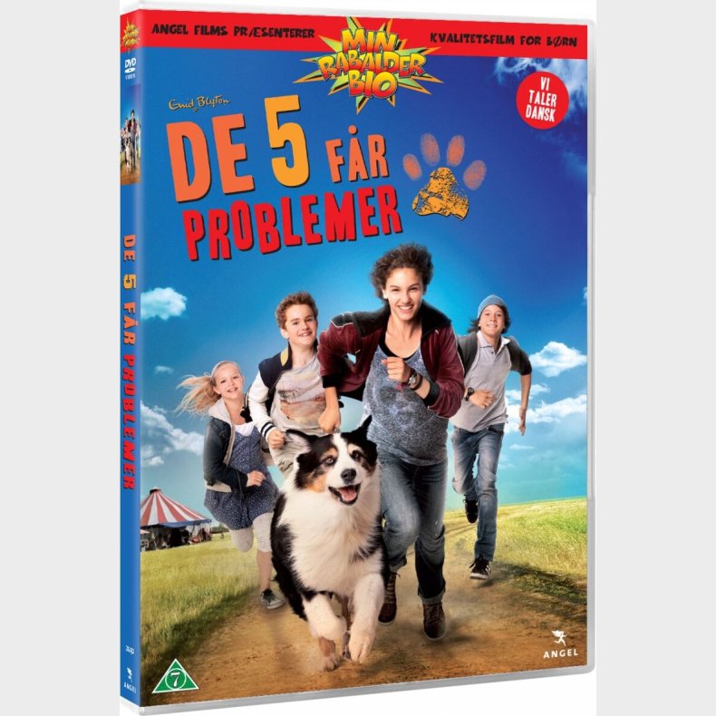 De 5 Fr Problemer - DVD - Film