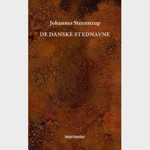 De Danske Stednavne - Johannes Steenstrup - Bog
