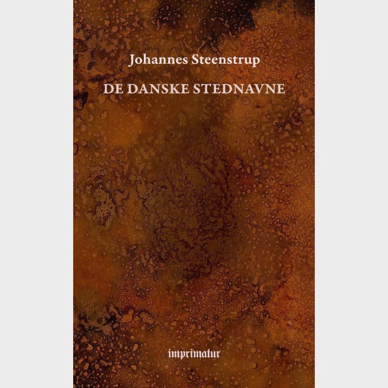 De Danske Stednavne - Johannes Steenstrup - Bog
