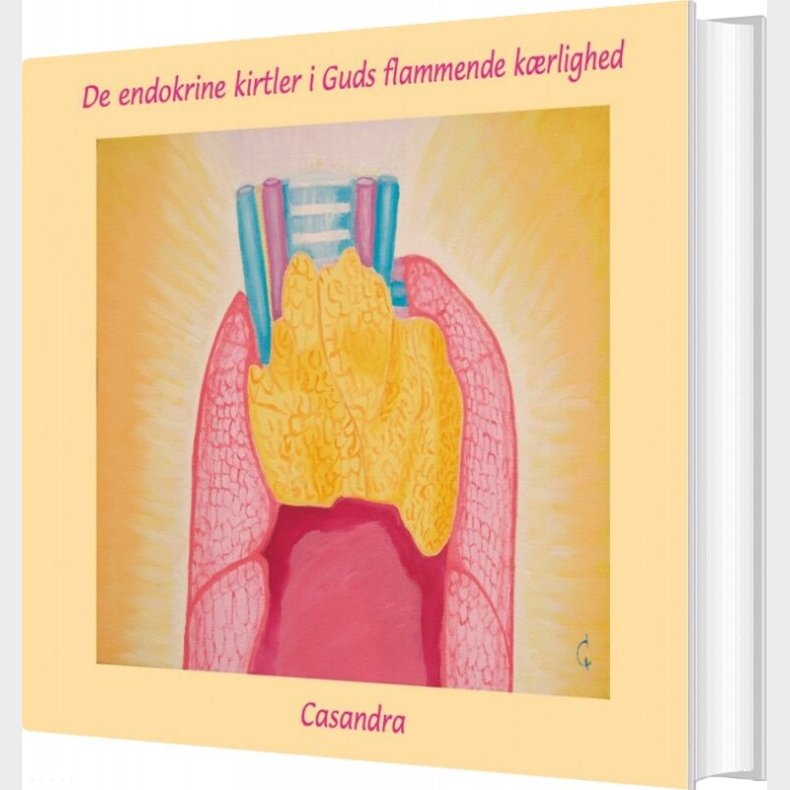 De Endokrine Kirtler I Guds Flammende K�rlighed - Casandra - Bog