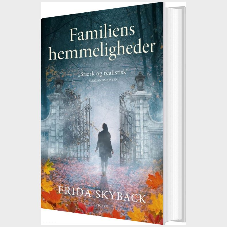 Familiens Hemmeligheder - Frida Skyb�ck - Bog