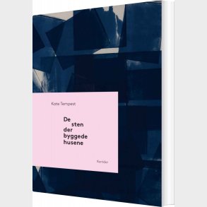 De Sten Der Byggede Husene - Kate Tempest - Bog