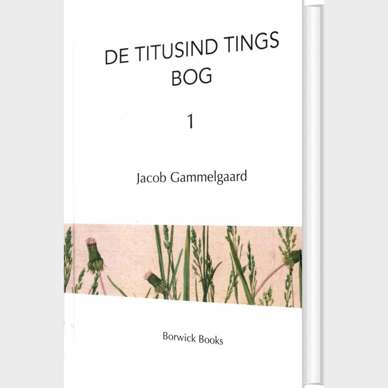 De Titusind Tings Bog - Jacob Gammelgaard - Bog