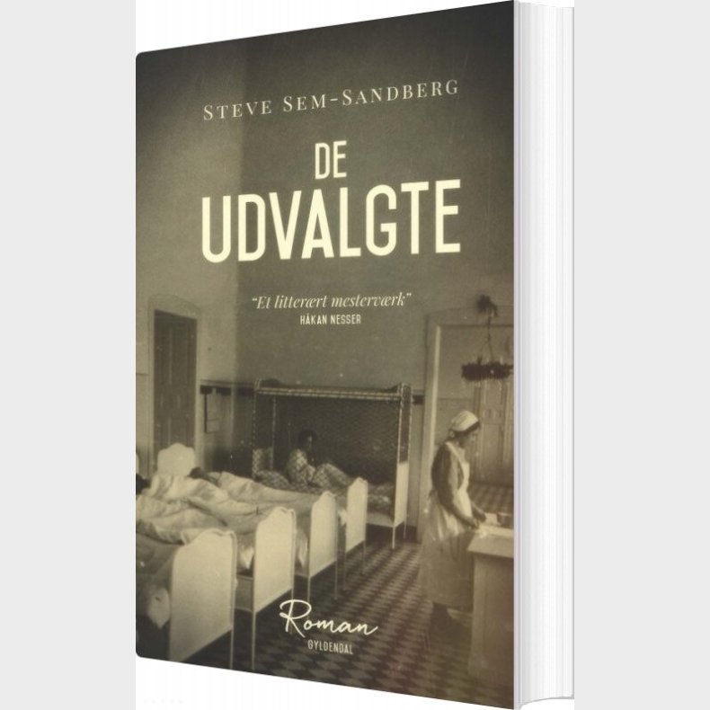 De Udvalgte - Steve Sem-sandberg - Bog
