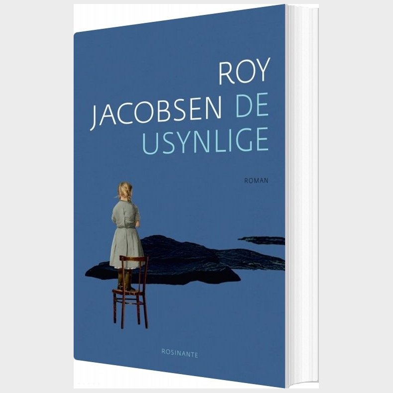De Usynlige - Roy Jacobsen - Bog