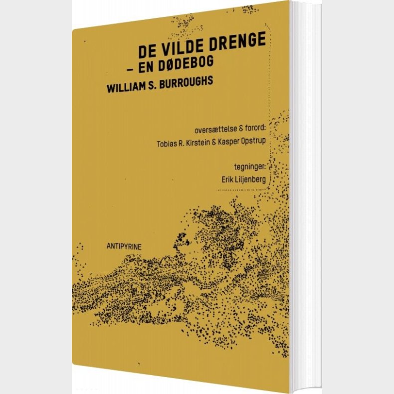 De Vilde Drenge - William S. Burroughs - Bog