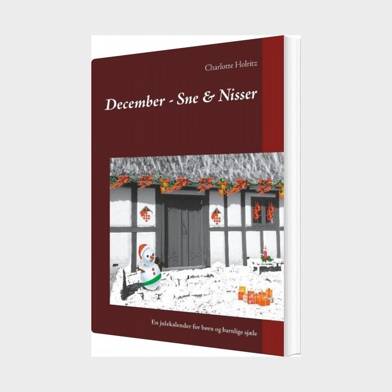 December - Sne & Nisser - Charlotte Holritz - Bog