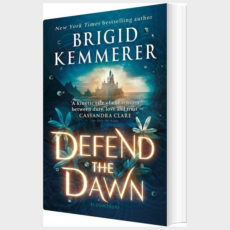 Defend The Dawn - Brigid Kemmerer - English Book