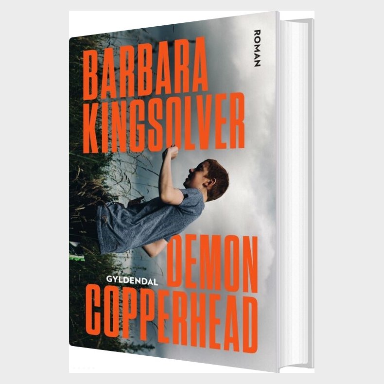 Demon Copperhead - Barbara Kingsolver - Bog