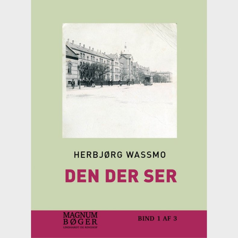 Den Der Ser (storskrift) - Herbj�rg Wassmo - Bog