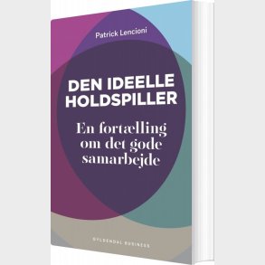 Den Ideelle Holdspiller - Patrick Lencioni - Bog