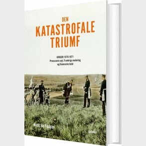 Den Katastrofale Triumf - Niels Bo Poulsen - Bog