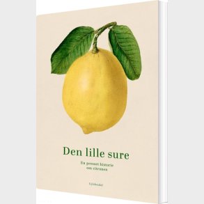 Den Lille Sure - Bog