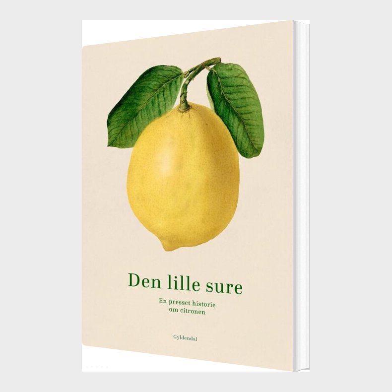 Den Lille Sure - Bog