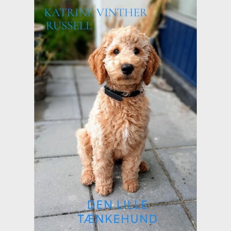 Den Lille T�nkehund - Katrine Vinther Russell - Bog