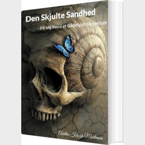 Den Skjulte Sandhed - Anitha Krogh Mortensen - Bog