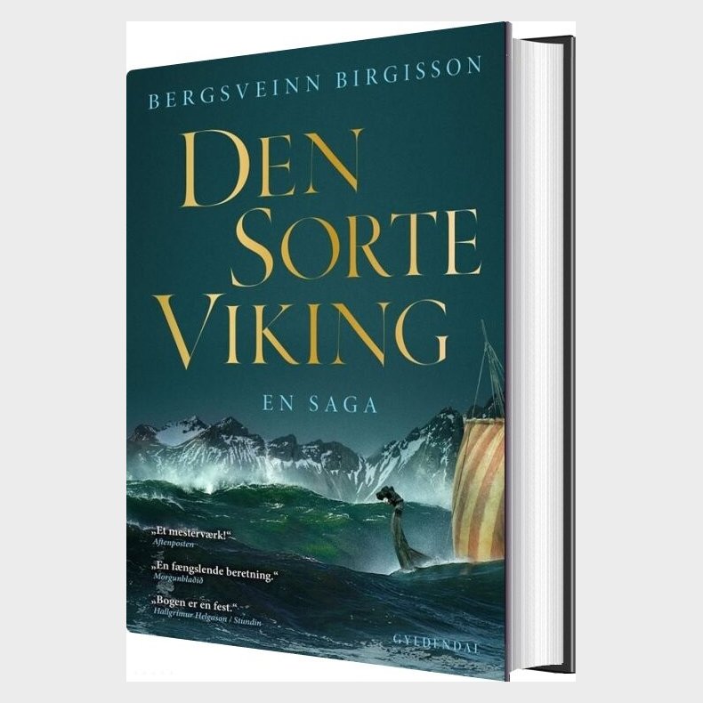 Den Sorte Viking - Bergsveinn Birgisson - Bog