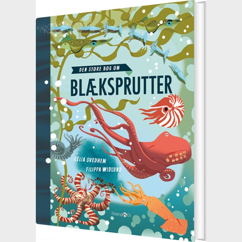 Den Store Bog Om Bl�ksprutter - Celia Svedhem - Bog