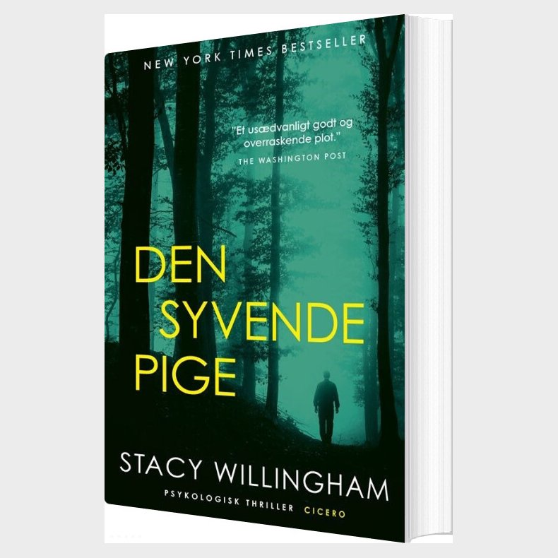 Den Syvende Pige - Stacy Willingham - Bog