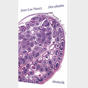 Den Ubudne - Jean-luc Nancy - Bog