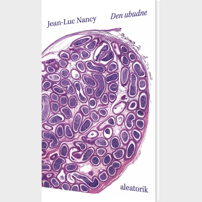 Den Ubudne - Jean-luc Nancy - Bog