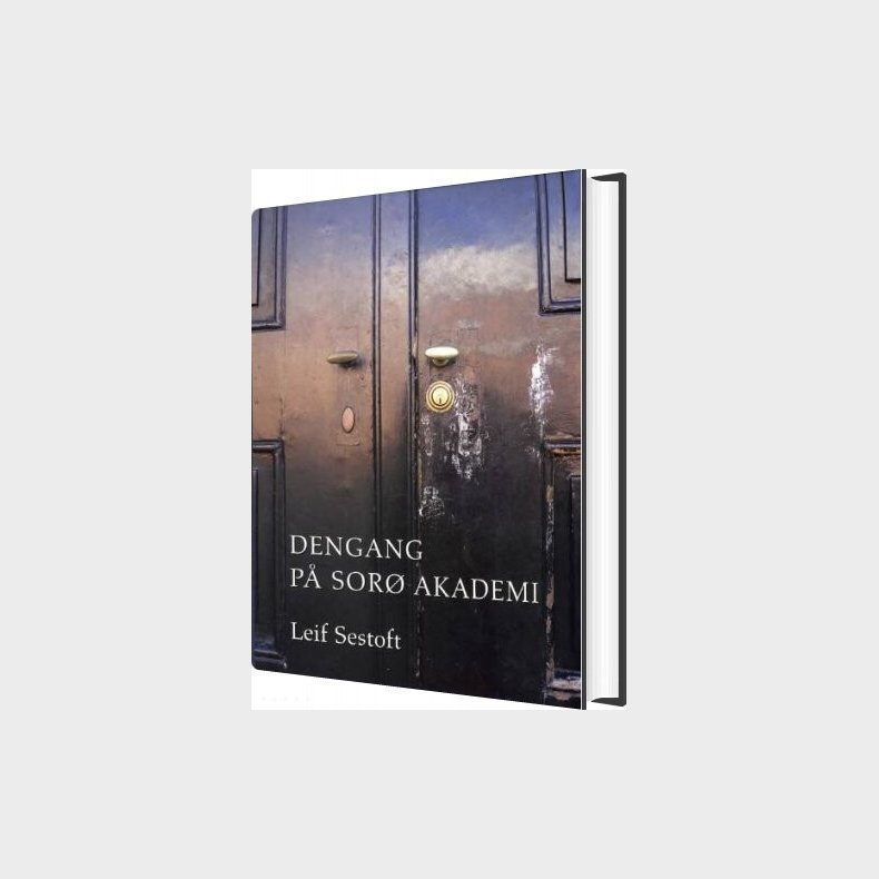 Dengang P� Sor� Akademi - Leif Sestoft - Bog