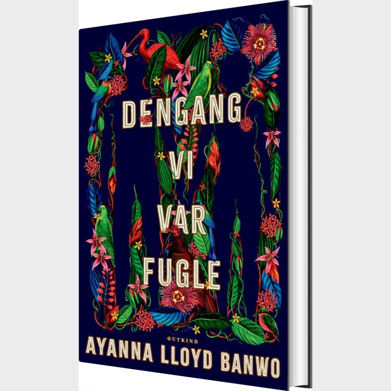 Dengang Vi Var Fugle - Ayanna Lloyd Banwo - Bog