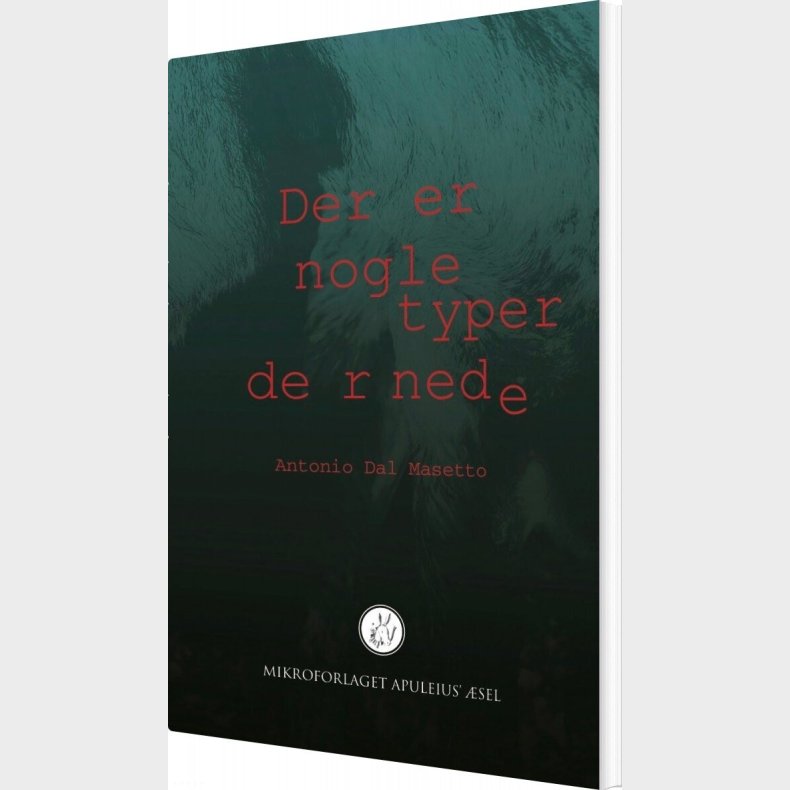 Der Er Nogle Typer Dernede - Antonio Dal Masetto - Bog