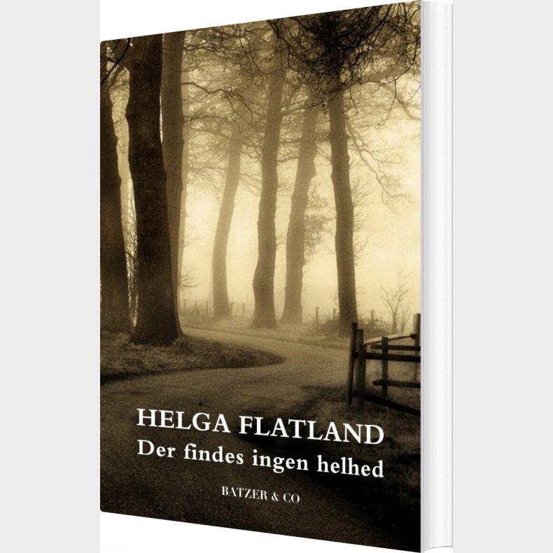 Der Findes Ingen Helhed - Helga Flatland - Bog