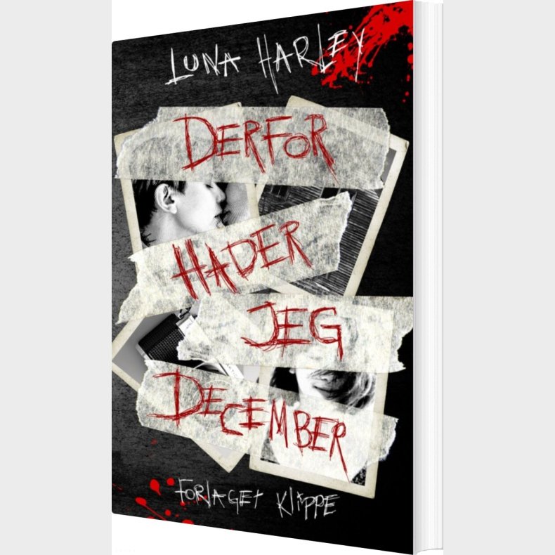 Derfor Hader Jeg December - Luna Harley - Bog