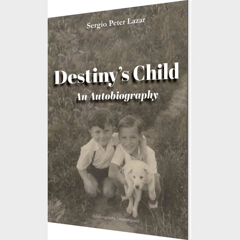 Destiny's Child - Sergio Peter Lazar - Bog