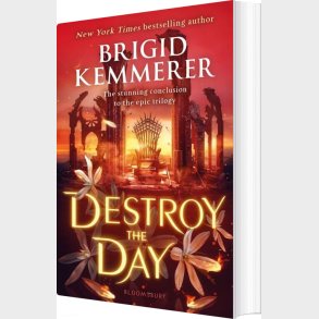 Destroy The Day - Brigid Kemmerer - English Book