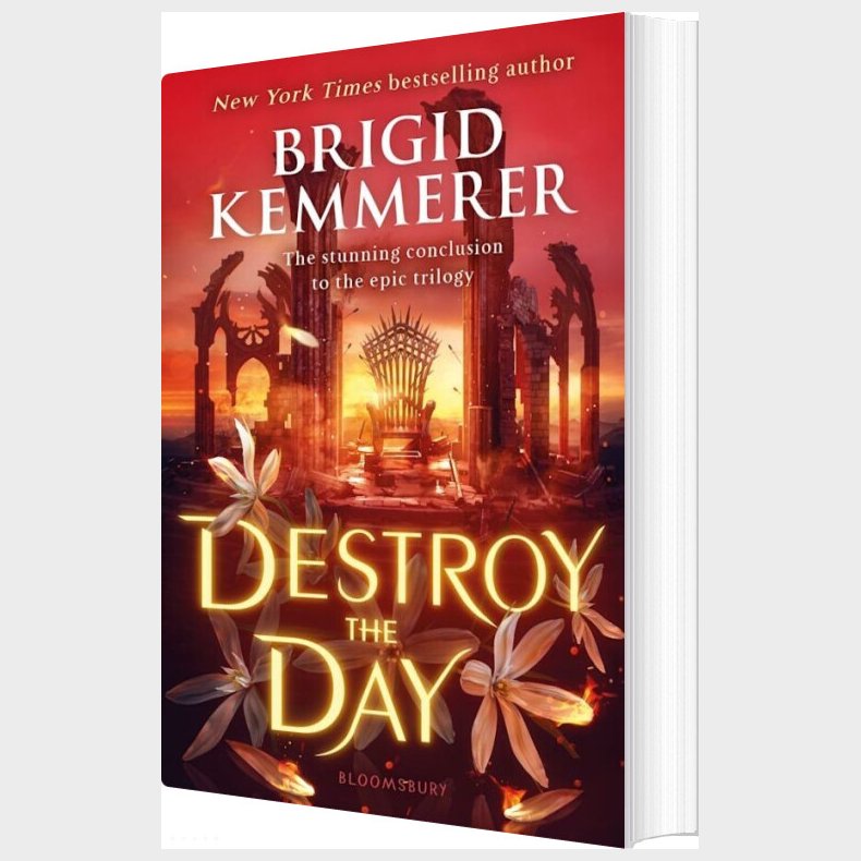 Destroy The Day - Brigid Kemmerer - English Book